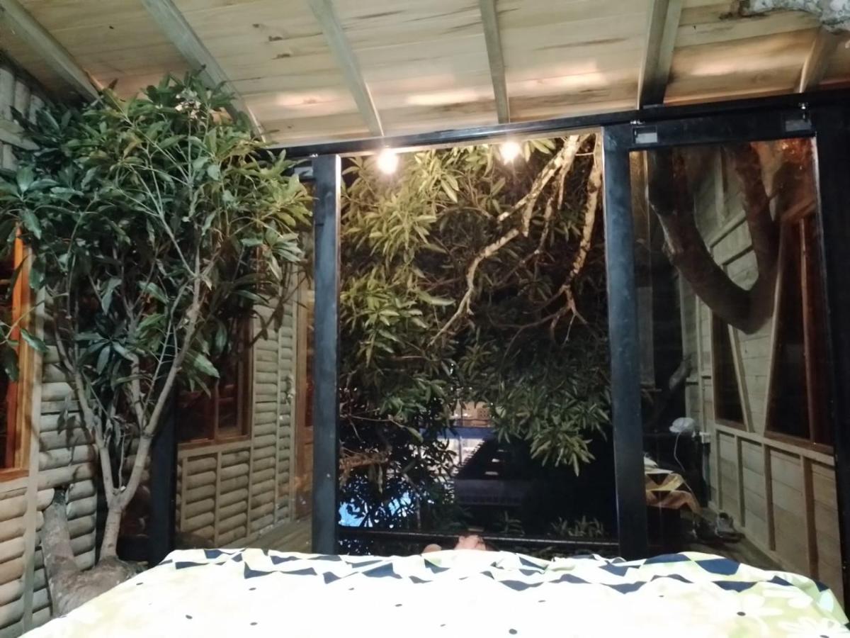Готель La Casita Del Arbol Guaduas Cundi. Екстер'єр фото